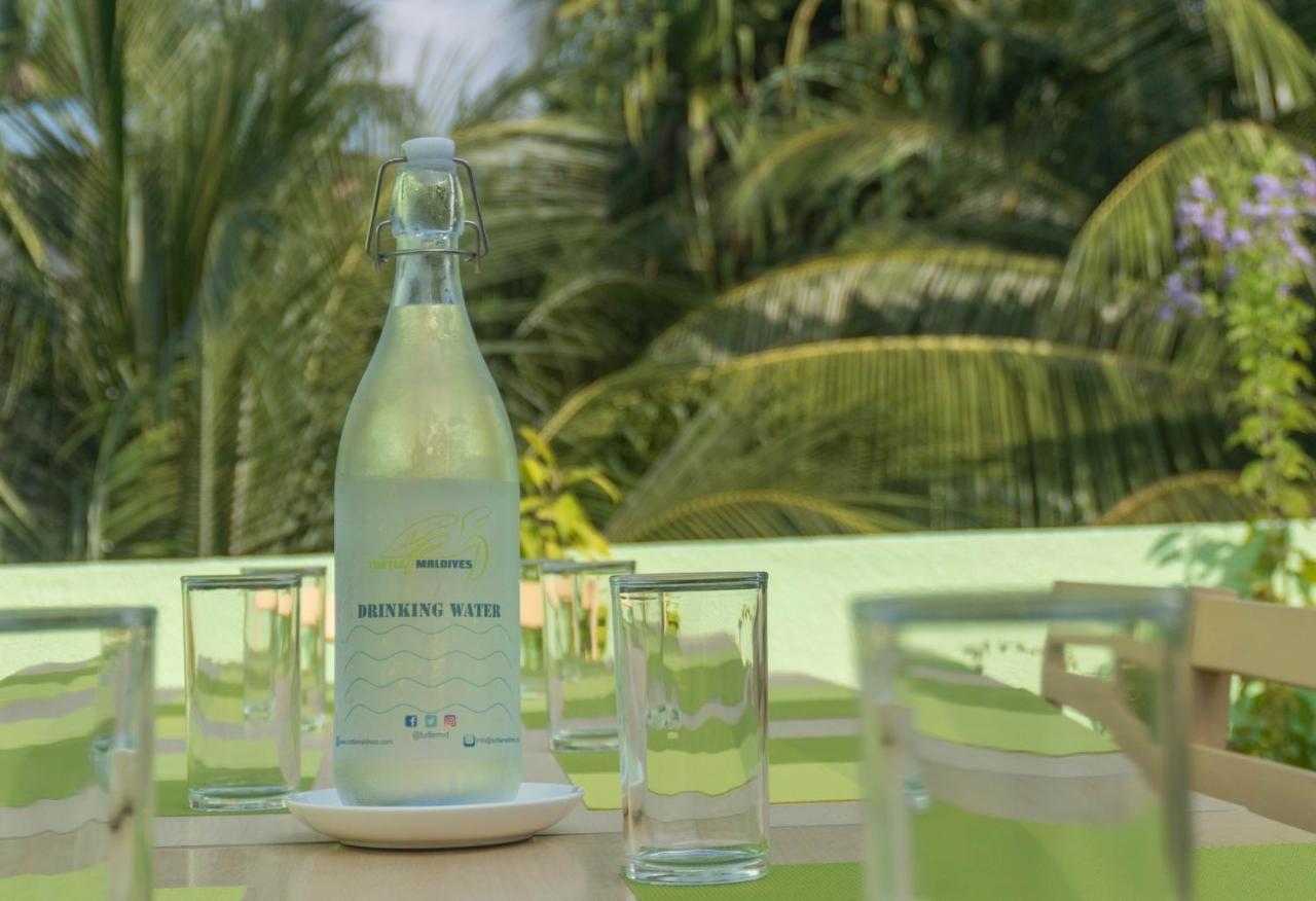 Turtle Maldives - Your Gateway To The Beach & Marine Adventures Await! Omadhoo エクステリア 写真