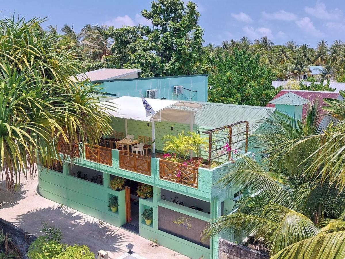 Turtle Maldives - Your Gateway To The Beach & Marine Adventures Await! Omadhoo エクステリア 写真