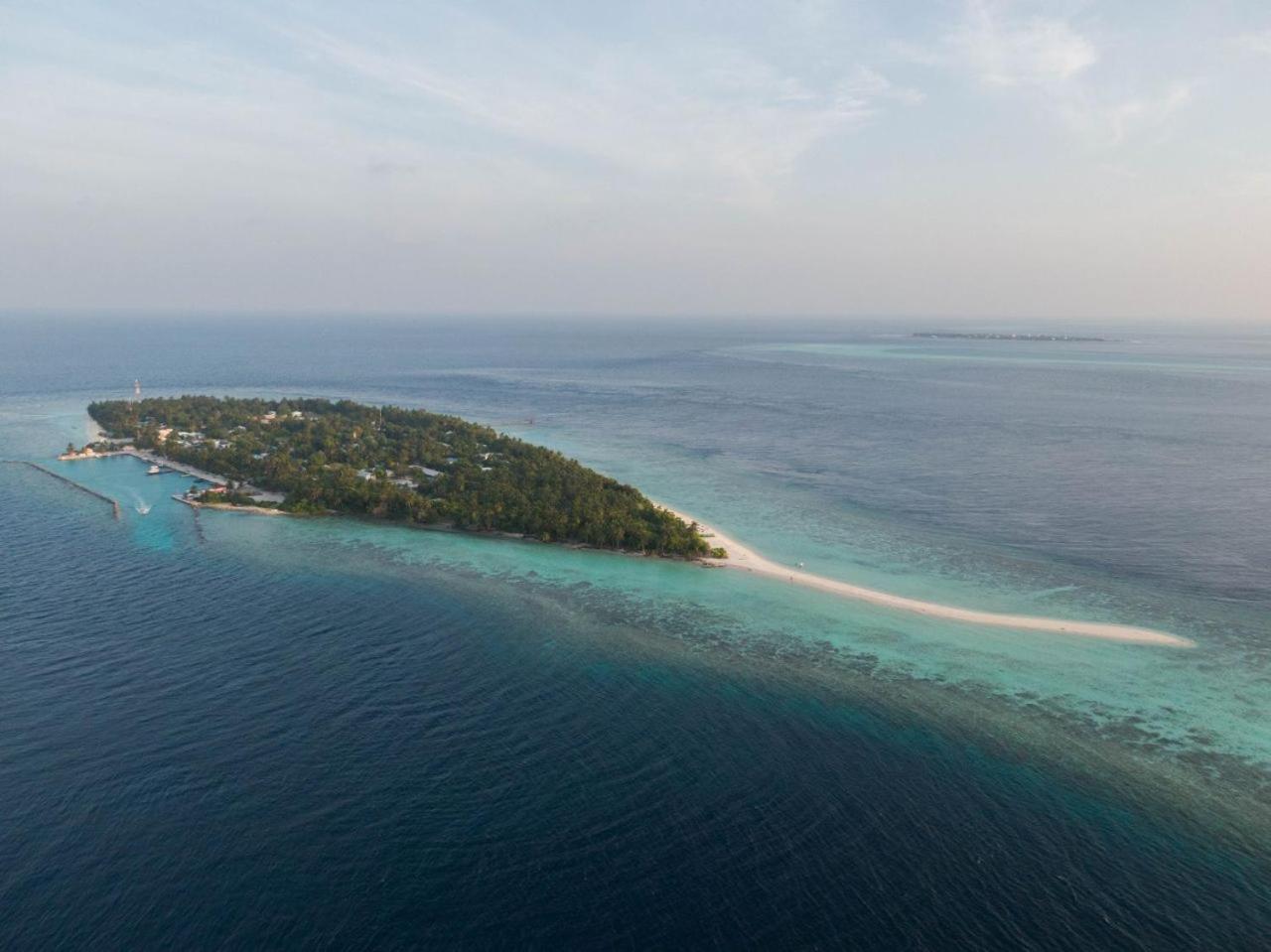 Turtle Maldives - Your Gateway To The Beach & Marine Adventures Await! Omadhoo エクステリア 写真