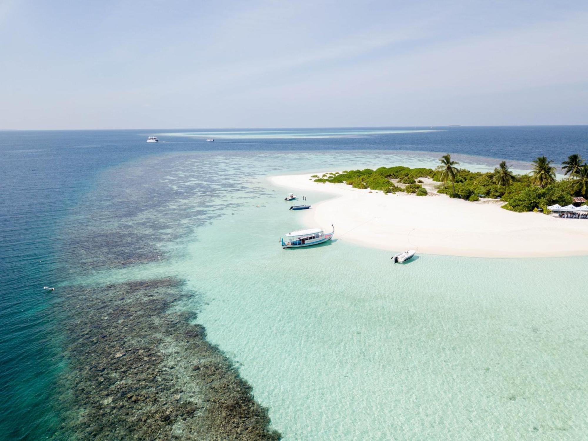 Turtle Maldives - Your Gateway To The Beach & Marine Adventures Await! Omadhoo エクステリア 写真