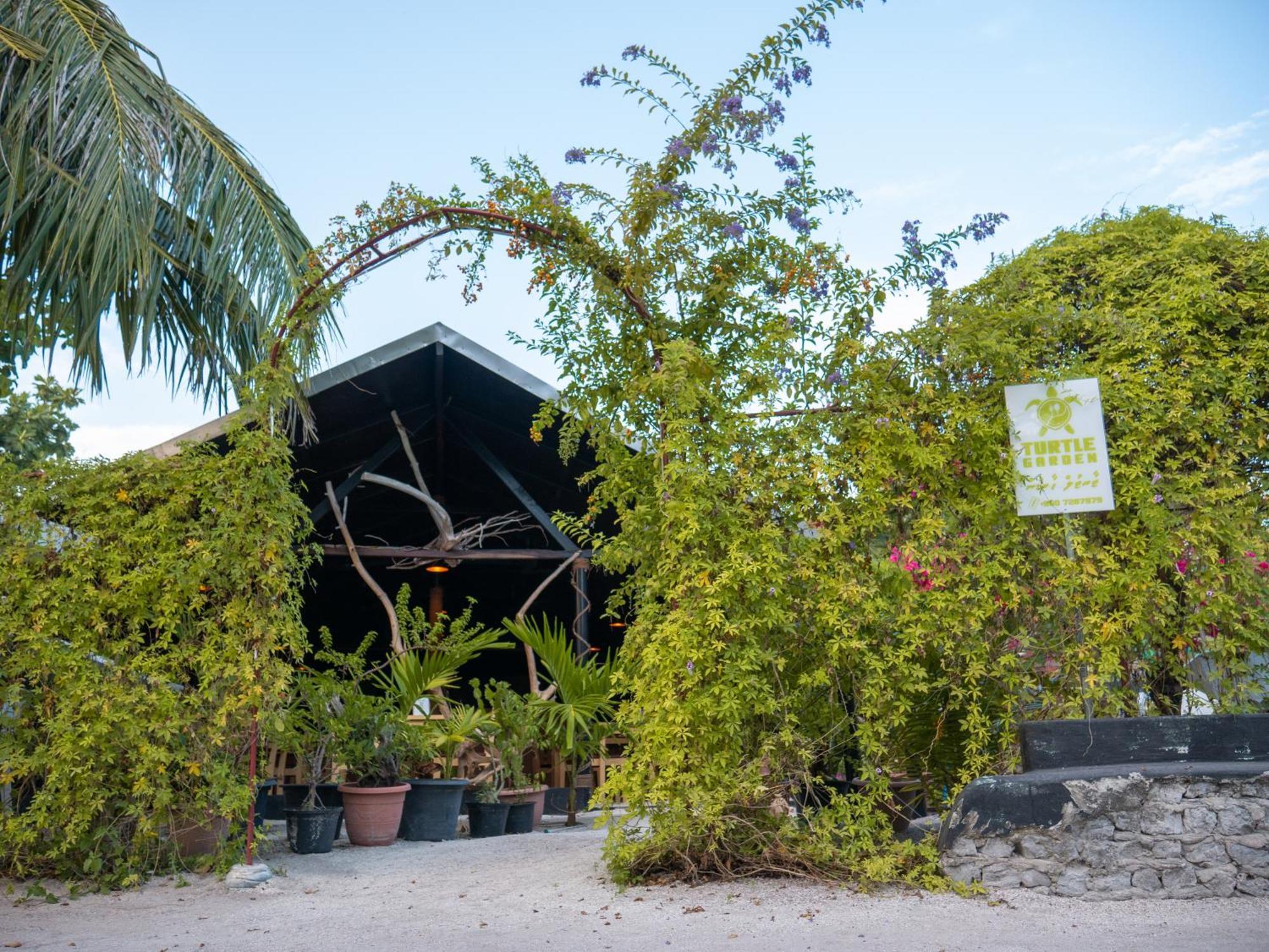 Turtle Maldives - Your Gateway To The Beach & Marine Adventures Await! Omadhoo エクステリア 写真