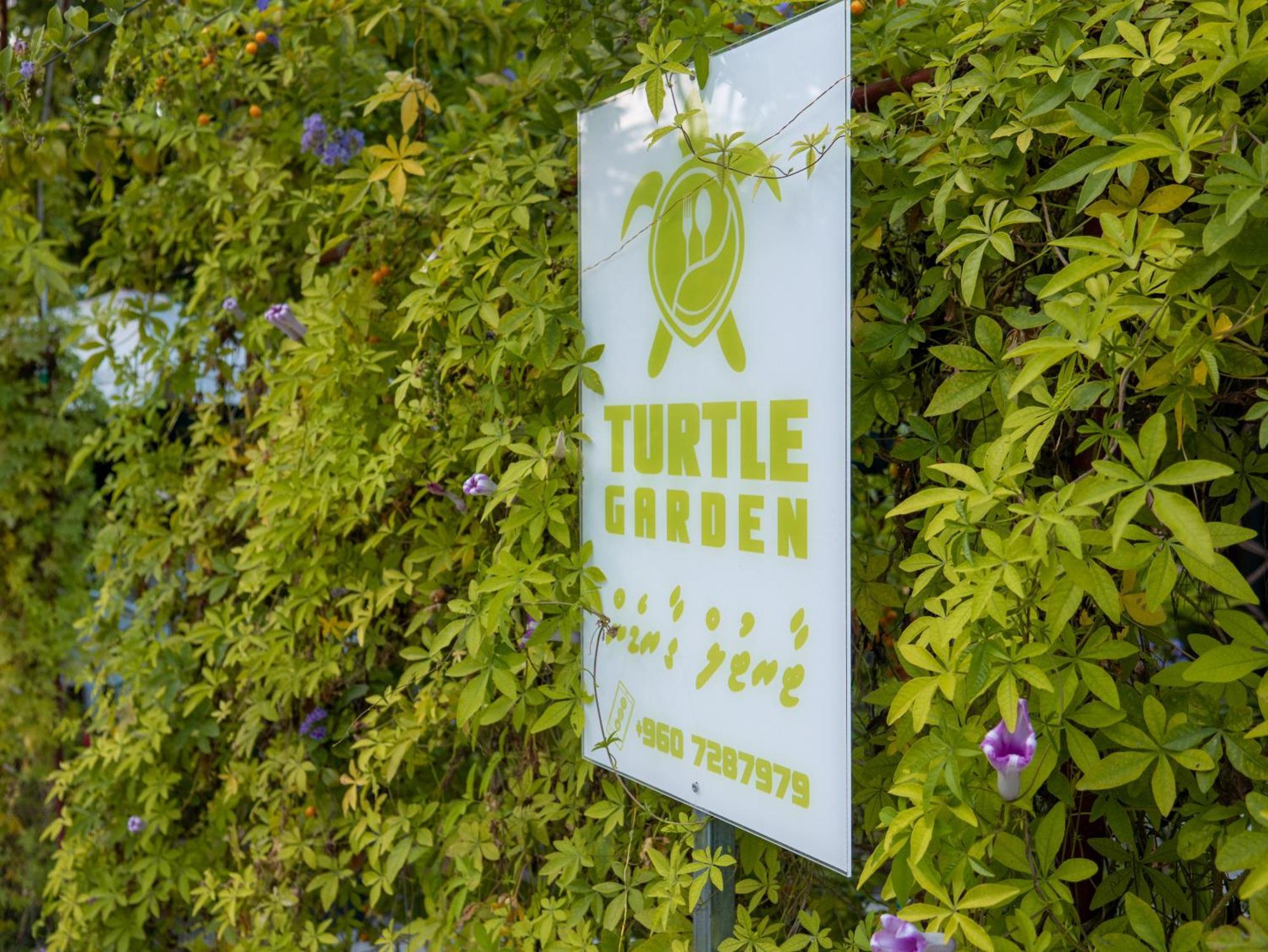 Turtle Maldives - Your Gateway To The Beach & Marine Adventures Await! Omadhoo エクステリア 写真