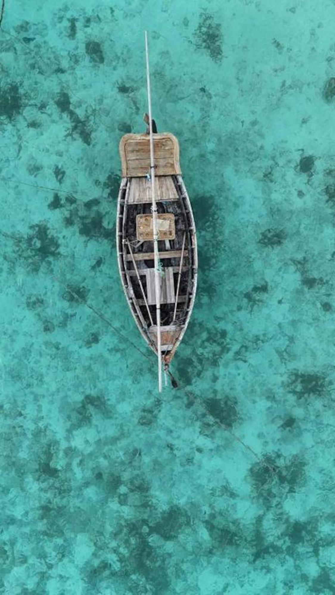 Turtle Maldives - Your Gateway To The Beach & Marine Adventures Await! Omadhoo エクステリア 写真