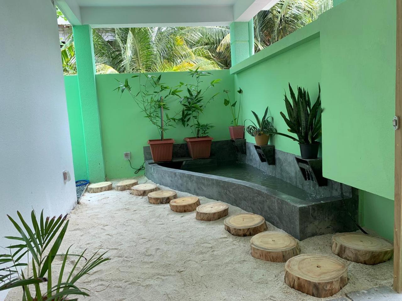 Turtle Maldives - Your Gateway To The Beach & Marine Adventures Await! Omadhoo エクステリア 写真