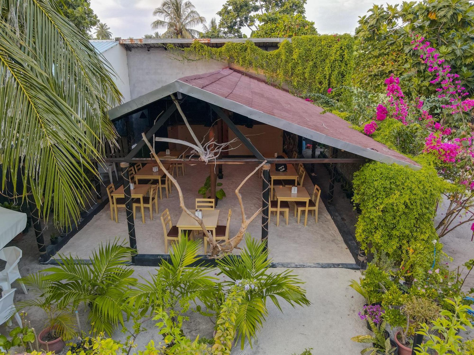 Turtle Maldives - Your Gateway To The Beach & Marine Adventures Await! Omadhoo エクステリア 写真
