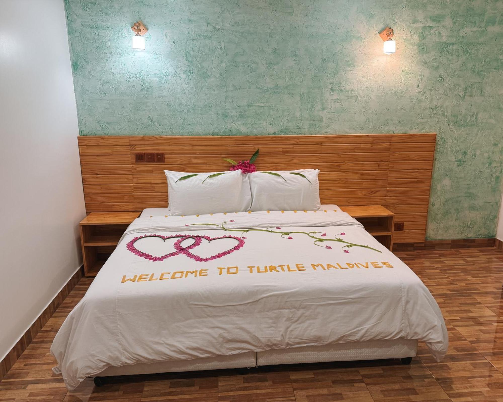 Turtle Maldives - Your Gateway To The Beach & Marine Adventures Await! Omadhoo 部屋 写真