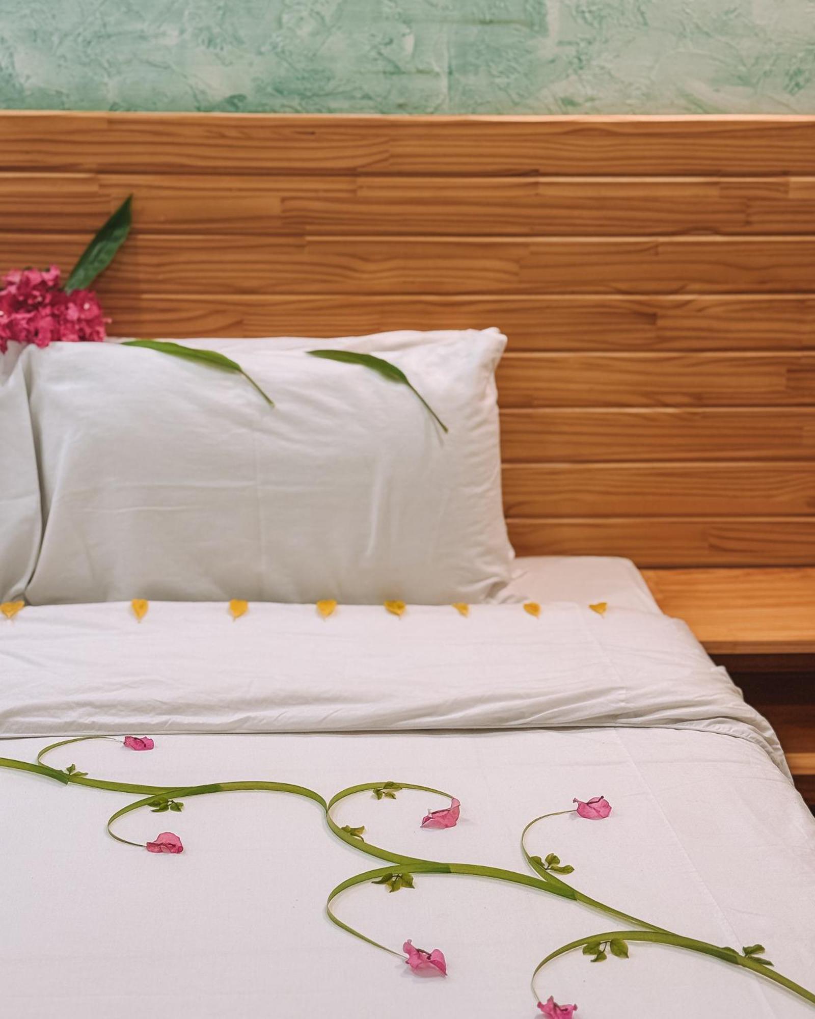 Turtle Maldives - Your Gateway To The Beach & Marine Adventures Await! Omadhoo 部屋 写真