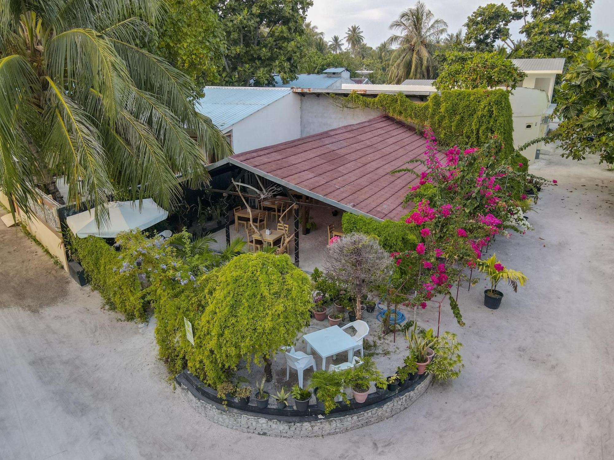 Turtle Maldives - Your Gateway To The Beach & Marine Adventures Await! Omadhoo エクステリア 写真